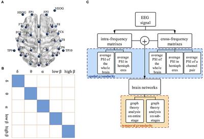 Multi-Granularity Analysis of Brain Networks Assembled With Intra-Frequency and Cross-Frequency Phase Coupling for Human EEG After Stroke